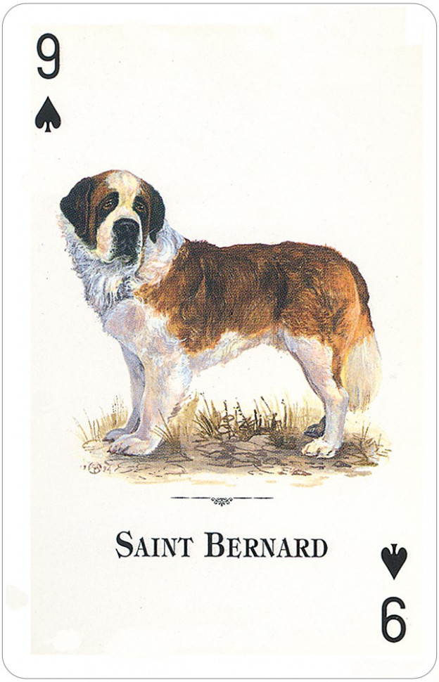 Карты "Dogs of the Natural World Playing Cards"