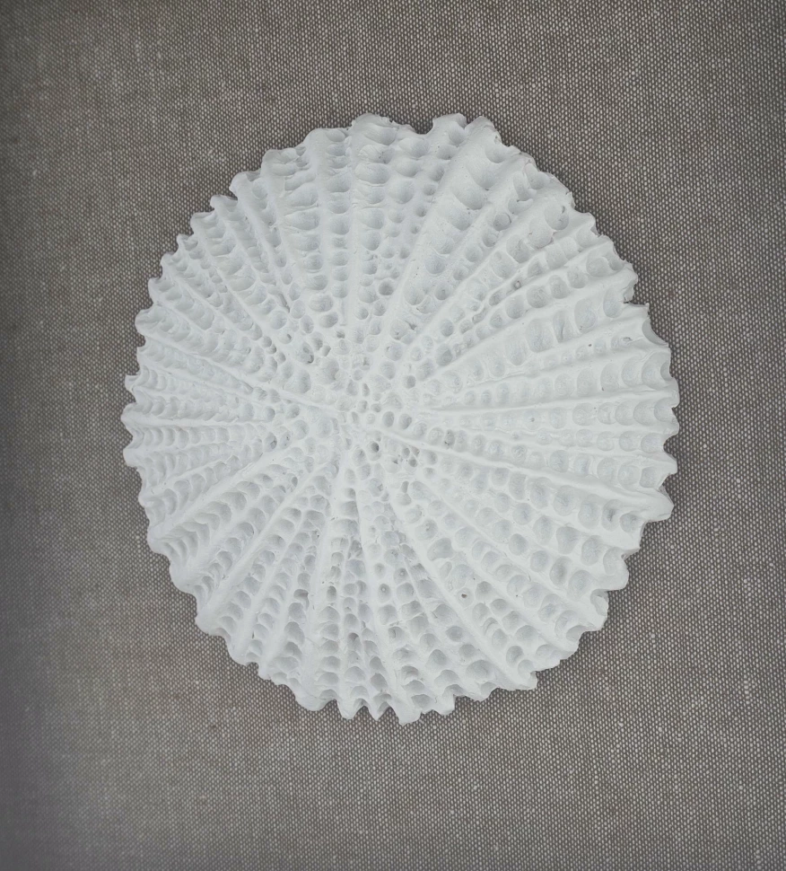 Панно tomas stern 83055