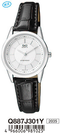 Наручные часы q&q   q887j301y rus