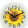 Настенные часы Алмаз Р53