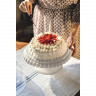 Блюдо для торта с крышкой tiffany, D30 см, серо-бежевое