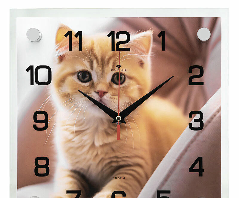 Настенные часы Рубин 2525-056