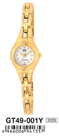 Наручные часы q&q   gt49-001y rus