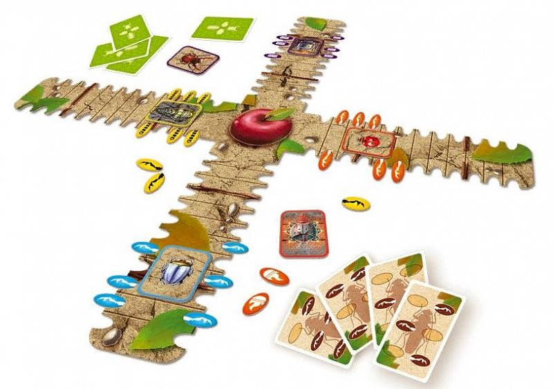 Гонки жуков