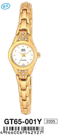 Наручные часы q&q   gt65-001y rus