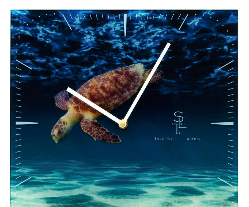 Салют SLT 5808 TURTLE