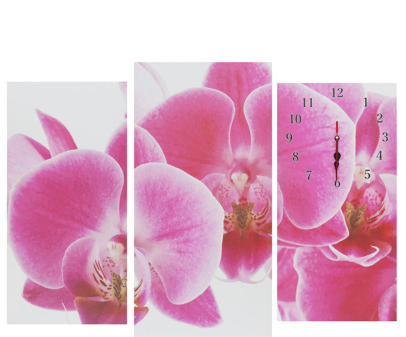 Настенные часы Сюжет 6080-st978